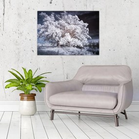 Obraz na szkle - Śnieżnobiałe drzewo (70x50 cm)