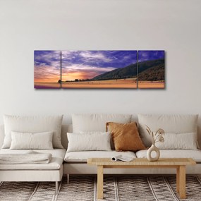 Obraz lawendowej łąki (170x50 cm)