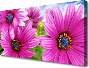 Obraz na płótnie Bukiet Letnich Kwiatów