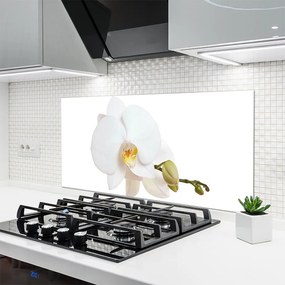 Panel Szklany do Kuchni Subtelny Akcent Botaniczny