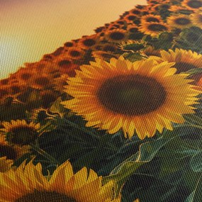 Obraz - Słonecznik (170x50 cm)