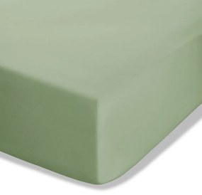 Zielone prześcieradło z perkalu z gumką 150x200 cm Easy Iron Percale – Catherine Lansfield
