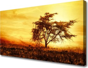 Zdjęcie na płótnie Samotne Drzewo w Rozkwicie