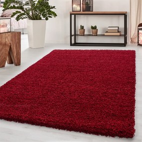 Dywan shaggy Dream czerwony 200 cm x 290 cm