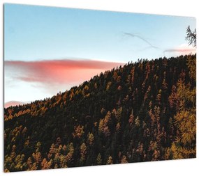 Obraz na szkle rudzików nad wzgórzem (70x50 cm)