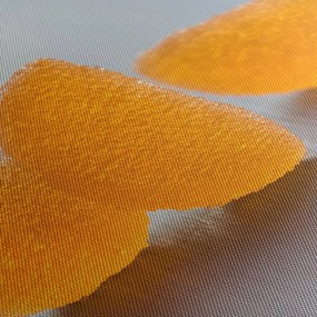 Obraz mandarynek (170x50 cm)