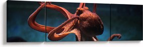 Obraz - Ośmiornica (170x50 cm)