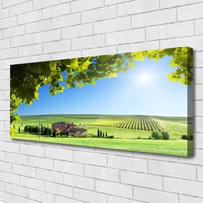 Zdjęcie na płótnie Jesienne Pole pełne Liści