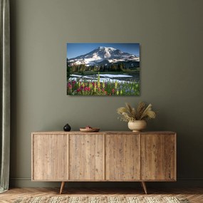 Obraz na szkle - Mount Rainier (70x50 cm)