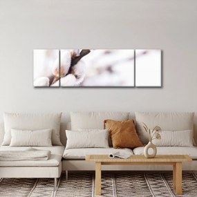 Obraz - Gałąź wierzby płaczącej (170x50 cm)