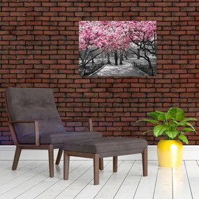 Obraz drzew magnolii (70x50 cm)