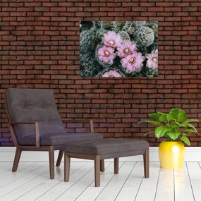 Obraz kwiatu kaktusa (70x50 cm)