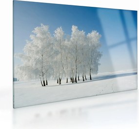 Obraz na szkle zaśnieżonego krajobrazu (70x50 cm)