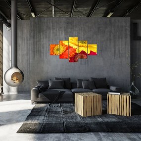 Obraz - Kwiaty Gerbery (125x70 cm)