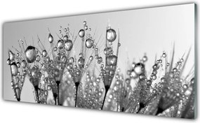 Panel Szklany Botaniczna Forma Abstrakcyjna