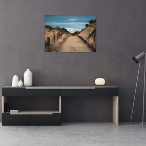Obraz - Na szlaku (70x50 cm)