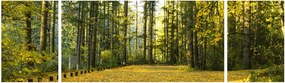 Obraz - las jesienią (170x50 cm)