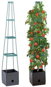 Doniczka z podporami do uprawy pomidorów, roślin pnących, 150 cm