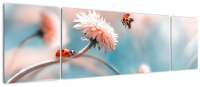 Obraz - Biedronka na kwiatku (170x50 cm)