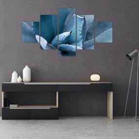 Obraz - Agawa (125x70 cm)