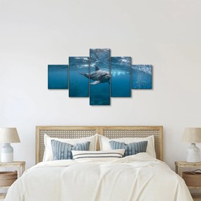 Obraz - Delfin pod wodą (125x70 cm)