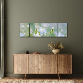 Obraz - Delikatne kwiaty (170x50 cm)