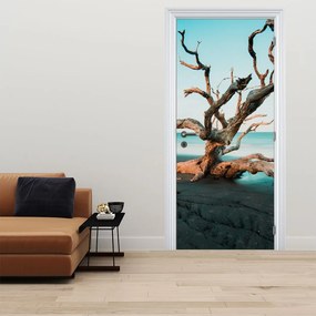 Fototapeta na drzwi - Wypłynęło na plaży (95x205cm)