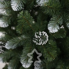 Sosna ośnieżona 150 cm