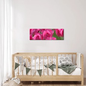 Obraz - Różowe tulipany (z zegarem) (90x30 cm)