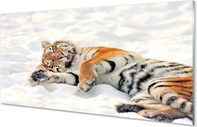 Szklany Panel Zimowy Portret Tygrysa