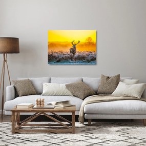 Obraz na szkle - Jeleń o wschodzie słońca (70x50 cm)