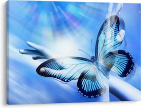 Obraz - Motyl, symbol nadziei (70x50 cm)