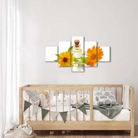 Obraz kwiatowego oleju (125x70 cm)