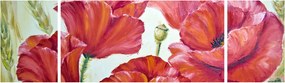 Obraz - Kwiaty maku (170x50 cm)