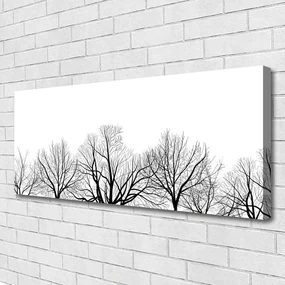Obraz Canvas Drzewa Roślina Natura