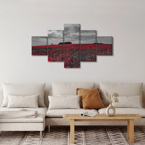 Obraz maków (125x70 cm)