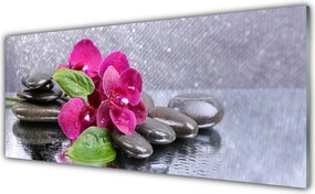 Panel Szklany do Kuchni Malarska Wizja Storczyka