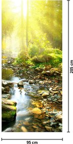 Fototapeta na drzwi - Rzeka w zielonym lesie (95x205cm)