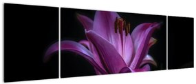 Obraz lilii (170x50 cm)