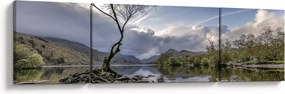 Obraz rzeki z drzewem (170x50 cm)
