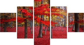 Obraz - Czerwony Las (125x70 cm)
