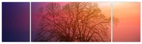 Obraz drzew we mgle (170x50 cm)