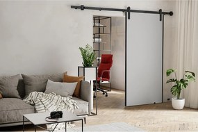 Emporius Drzwi przesuwne 90 cm Ares - drzwi naścienne z systemem regulowanym oraz samodomykaczem - Biały