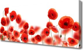 Obraz na płótnie Pole Czerwonych Maków