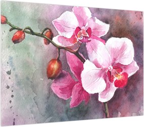 Obraz - Orchidee, akwarela (70x50 cm)