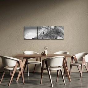 Obraz - Wilk, czarno - biały (z zegarem) (90x30 cm)