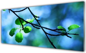 Panel Szklany Świeże Liście na Gałązce