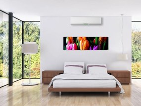 Obraz tulipanów na czarnym tle (170x50 cm)