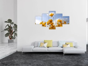 Obraz pola z jasnożółtymi kwiatami (125x70 cm)