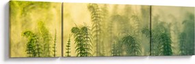 Obraz - Szczegół wiosennej mglistej przyrody (170x50 cm)